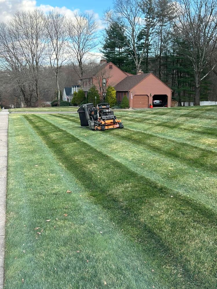 All Photos for Dibs Landscaping LLC in Cheshire, CT