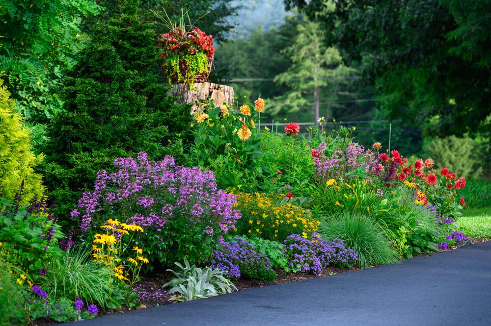 All Photos for Sustainable Lawn and Landscape in Banner Elk, NC