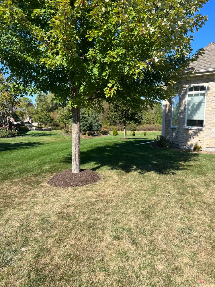 Lawn Care for Trim Seasonal Services in Milwaukee, WI