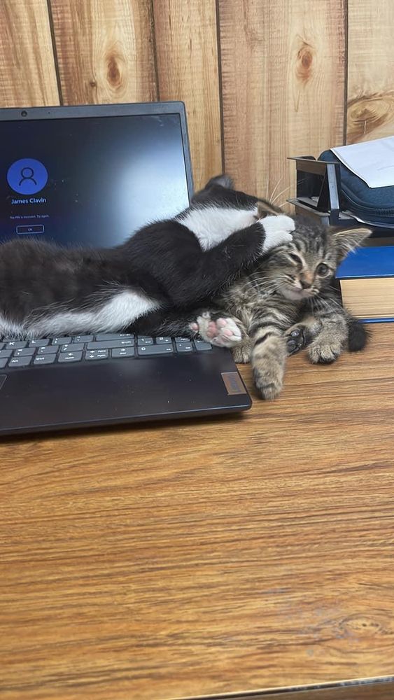 All Photos for Clavin Painting in Fort Dodge, Iowa