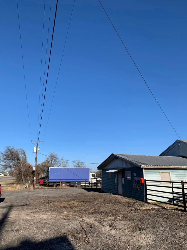 Tree Removal for Rollins Tree Service in Eastland, TX