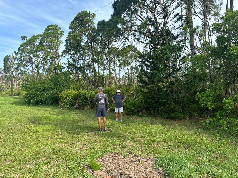Tree Removal for MX Trees LLC in Englewood, FL