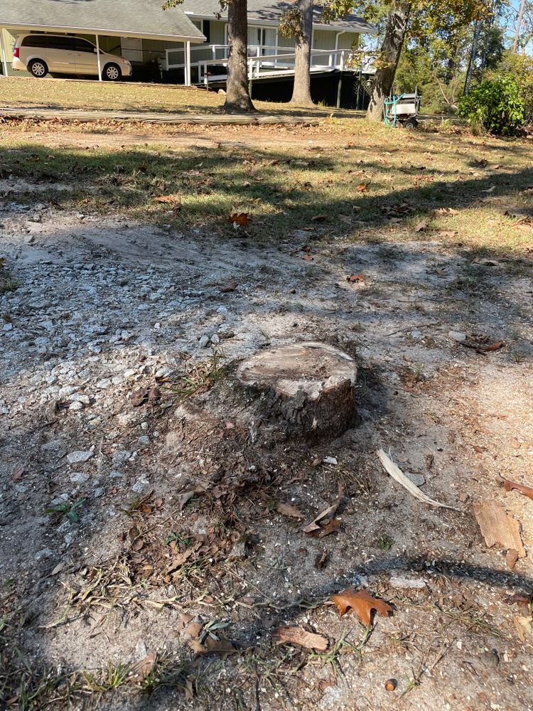 All Photos for MJB’s Stump Grinding LLC in Tennille, GA