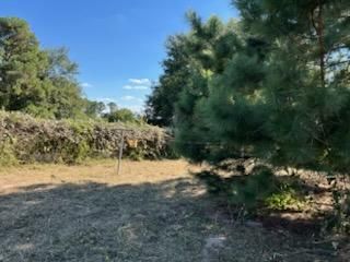 All Photos for Oviedo Land & Garden in Bastrop, TX