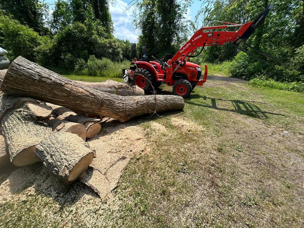 Tree Removal for S.H. Tree Service LLC in Hilton, NY