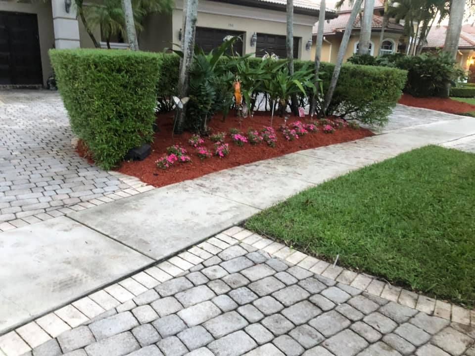 Landscaping for VS Landscaping Services inc. in Fort Lauderdale, FL