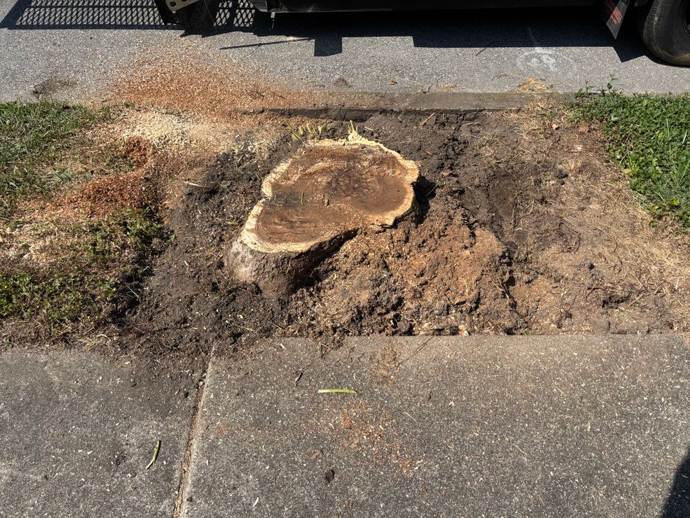 All Photos for Conrad's Stump Removal in Columbus, IN