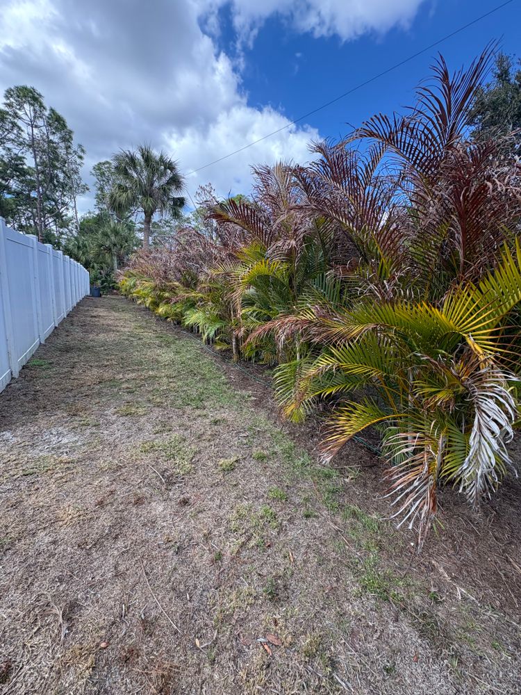 All Photos for R&R GreenWorks in North Port, FL