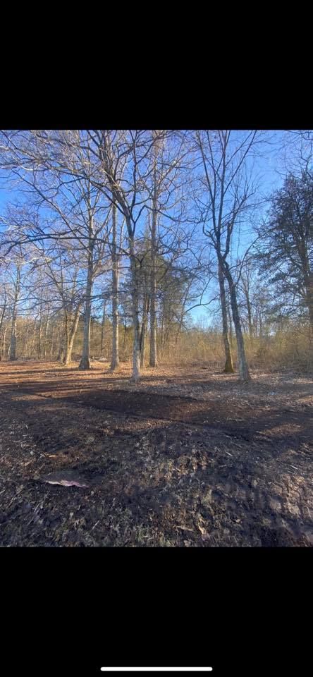 All Photos for Green Land Management in Mount Pleasant, TN