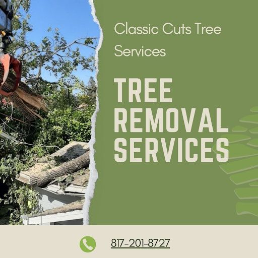 All Photos for Classic cut tree trimming and removal in Arlington, TX