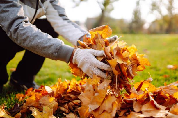 Our Leaf Cleanup for Commercial Properties service ensures pristine, debris-free landscapes, enhancing curb appeal and maintaining property value. Trust our professional team for efficient cleanup tailored to your commercial property's unique needs. for A Plus Demolitions Services in Pittsburgh, PA