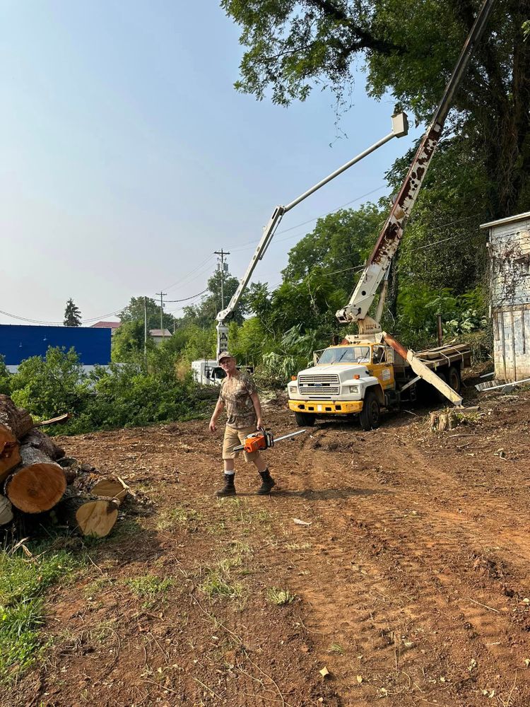 Tree Removal for Lance Tree Service in Tellico Plains ,  TN