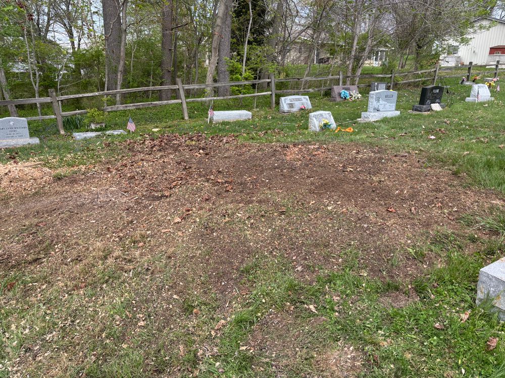 All Photos for Conrad's Stump Removal in Columbus, IN