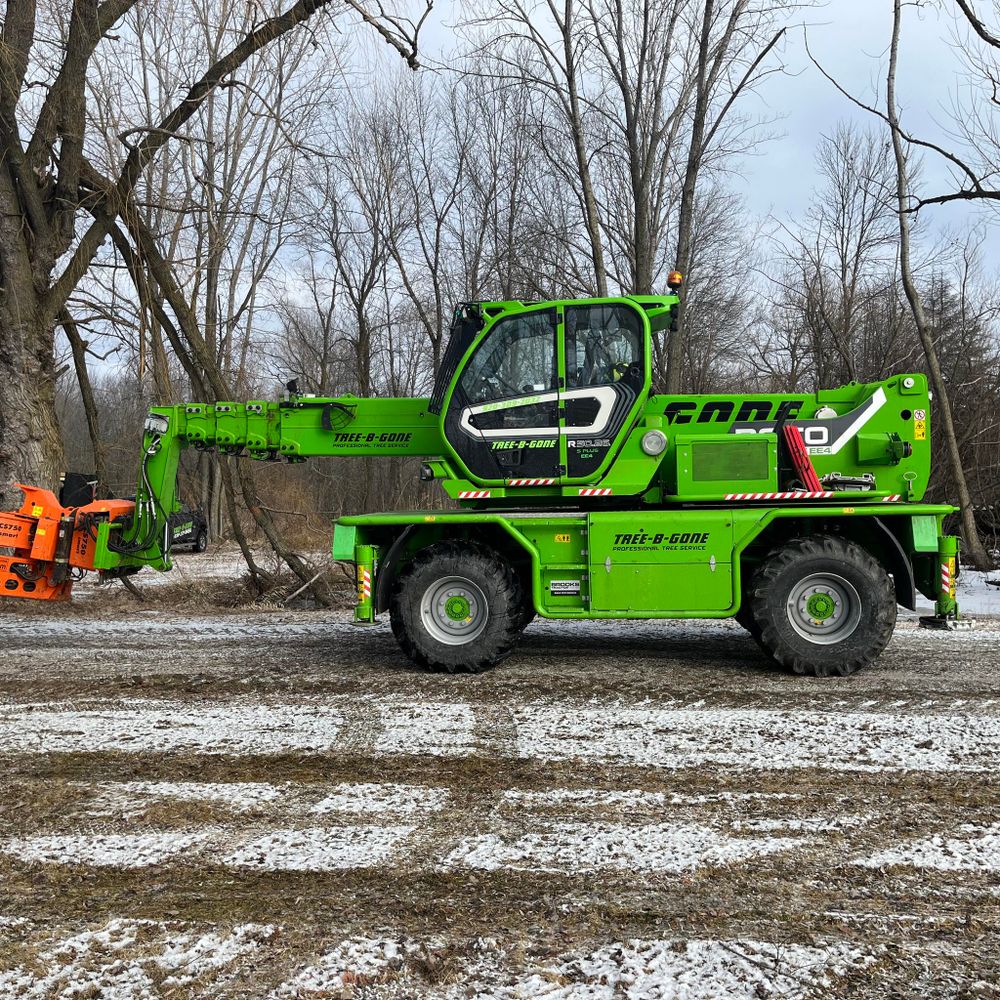 Tree Removal for Tree-B-Gone in Shawano, WI