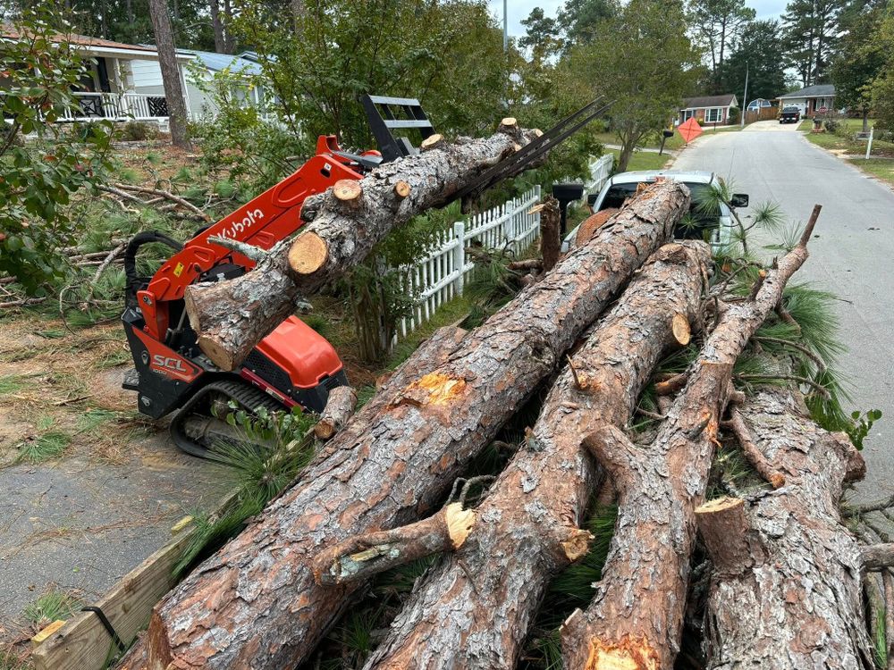 Our Tree Removal service ensures safe, efficient removal of unwanted or hazardous trees, protecting your property and landscape aesthetics. Our expert team uses advanced techniques for a seamless experience you can trust. for Total Tree Care in Erwin, North Carolina