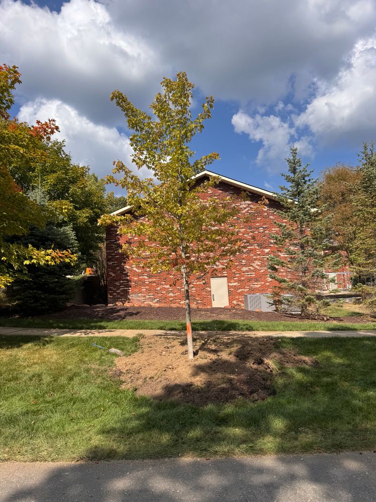 All Photos for Steed's Lawn and Landscape LLC in White Lake, MI