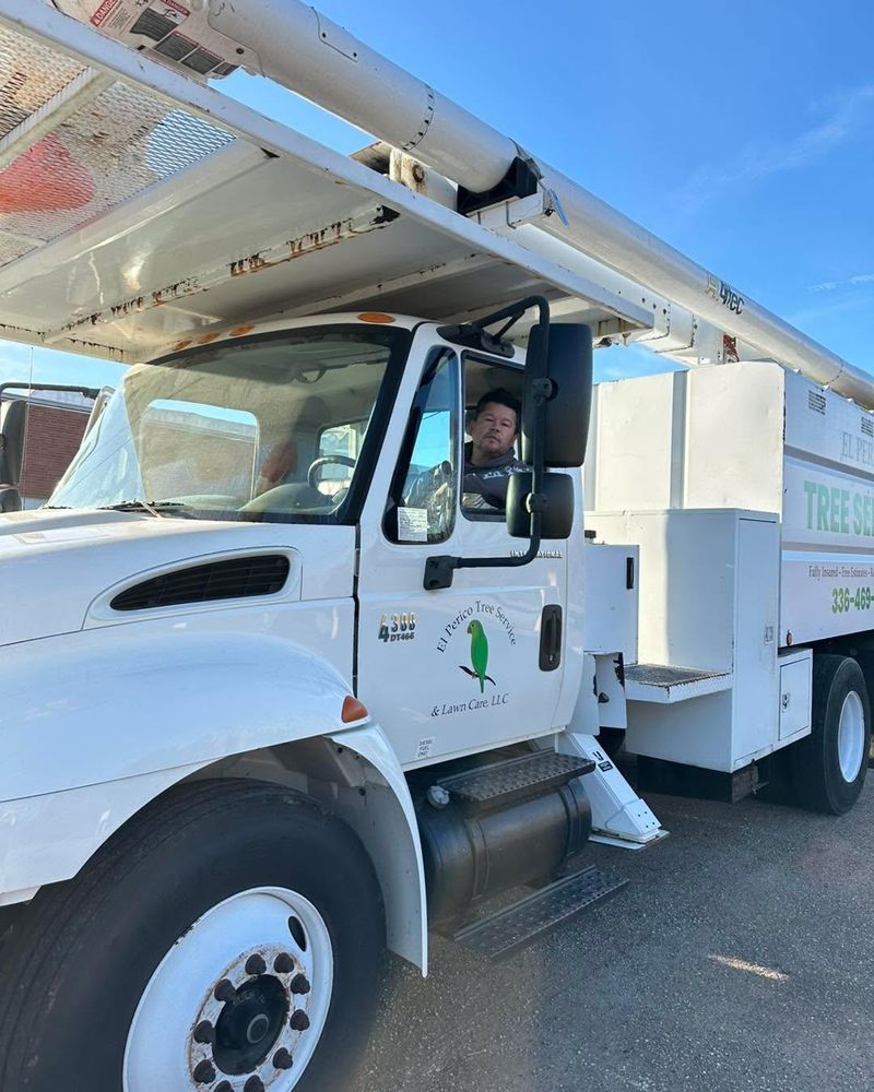 All Photos for El Perico Tree Service and Lawn Care, LLC in Boonville, North Carolina