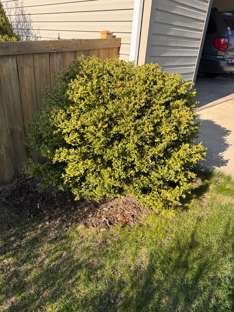 All Photos for H&L Lawn Care LLC in Twin Lakes, WI