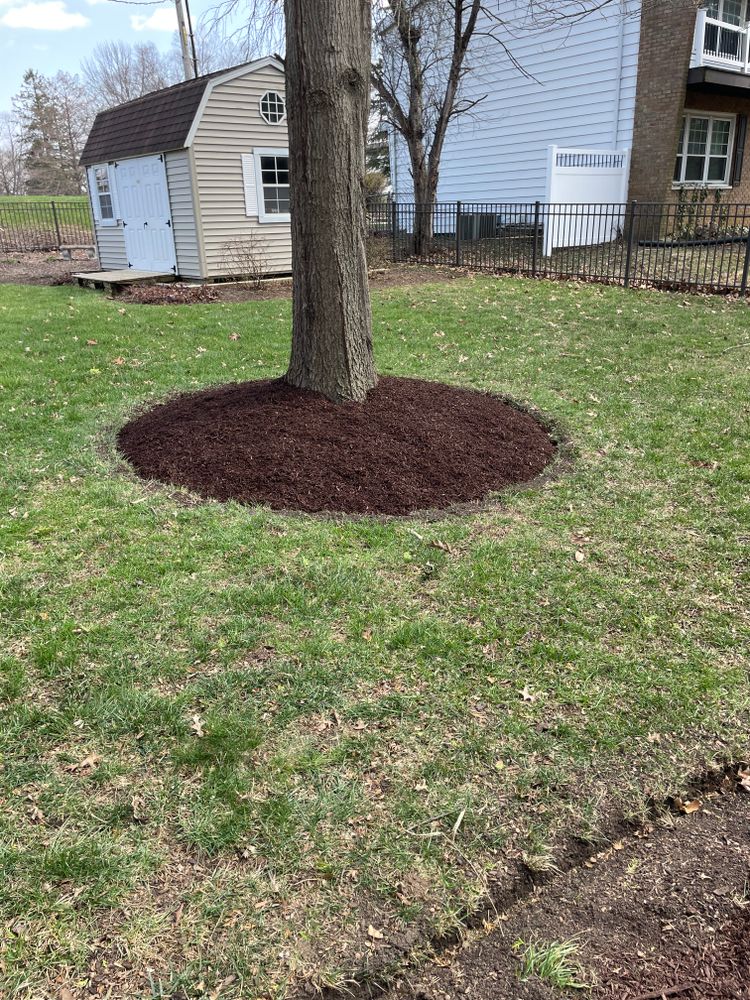 All Photos for MDR Landscaping in Urbana, IL
