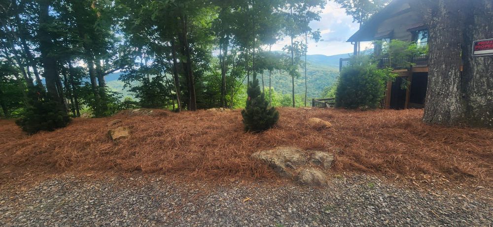 All Photos for JC Landscapers in Ellijay, GA