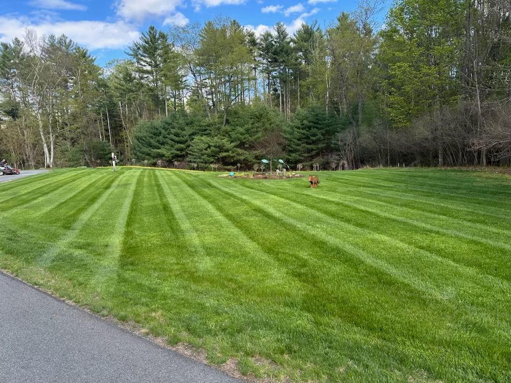 All Photos for Thomas Clifford Property Services LLC in Enfield, NH