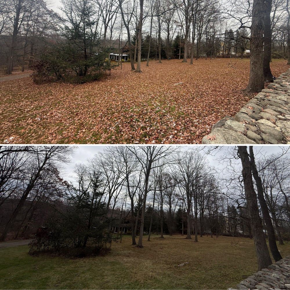 Lawn Maintenance for LJ Lawn & Property Maintenance, Inc. in Cold Spring, New York