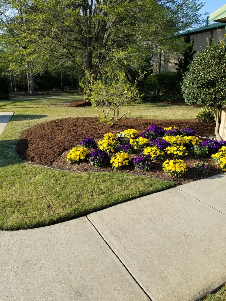 All Photos for Trinity Landscapes  in Lumberton, NC