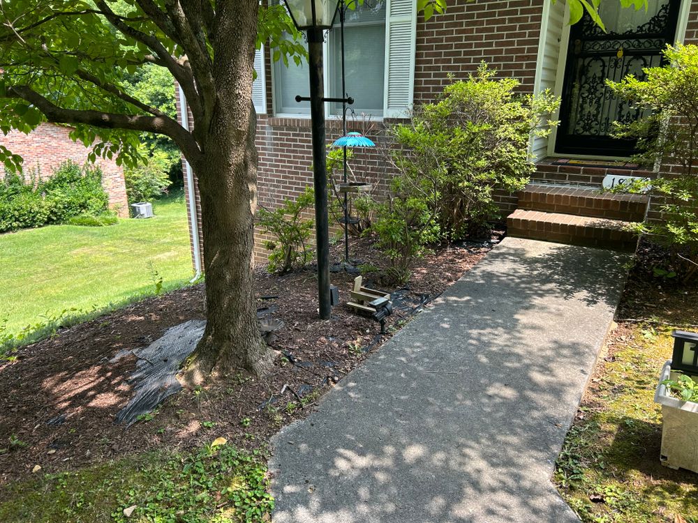 All Photos for Gatrell Landscape & Tree Removal in Bluff City, TN