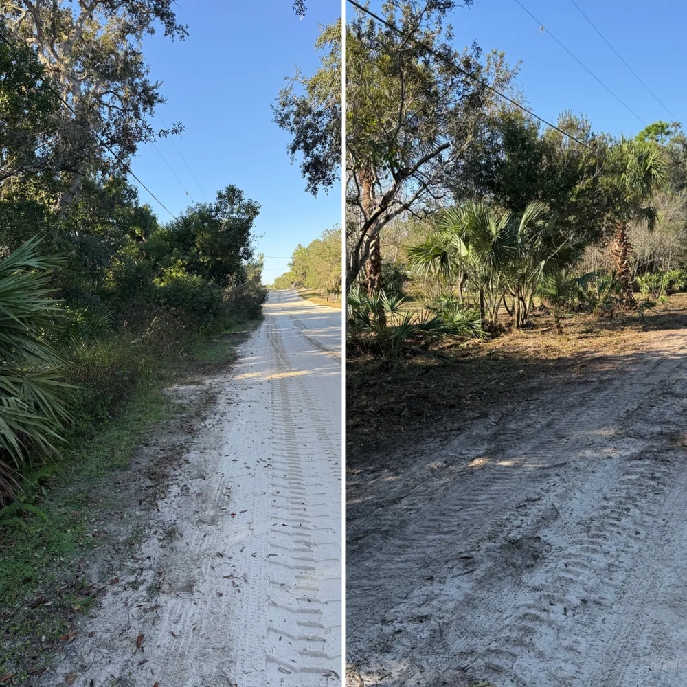 All Photos for Amerigrown Tree And Lawn in Apopka, FL