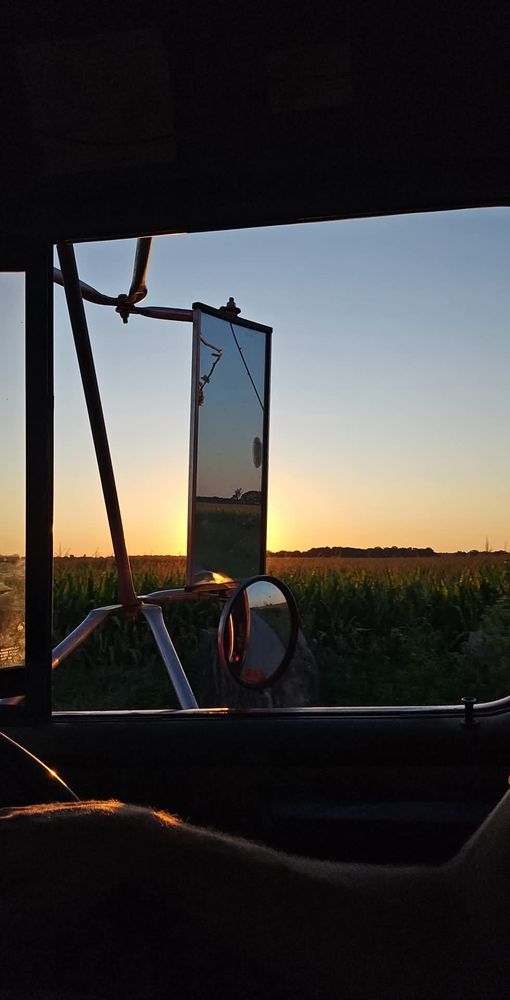 All Photos for Highborn Tree Service in Wheatfield, IN