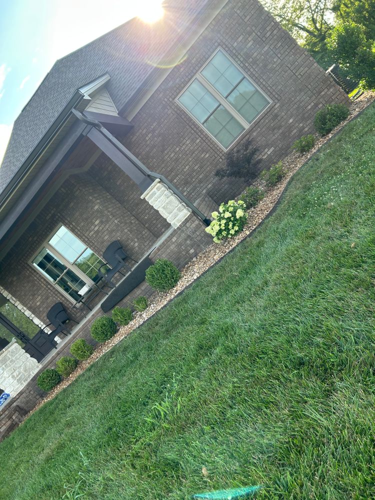 All Photos for Optimum Tree Service And Landscaping in Bowling Green, KY