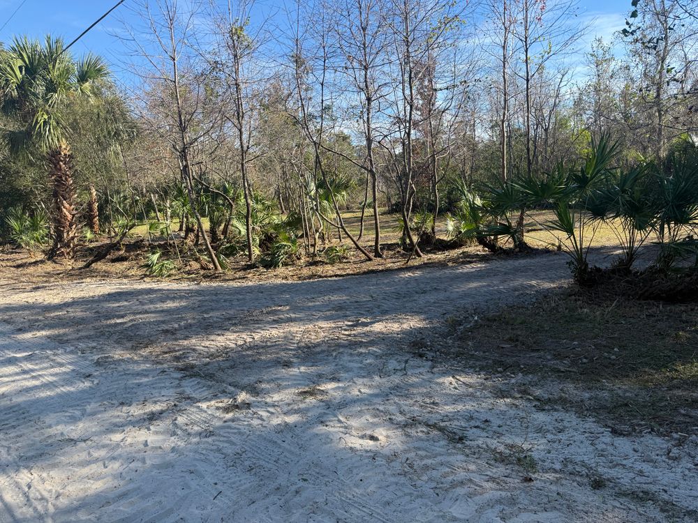 All Photos for Amerigrown Tree And Lawn in Apopka, FL