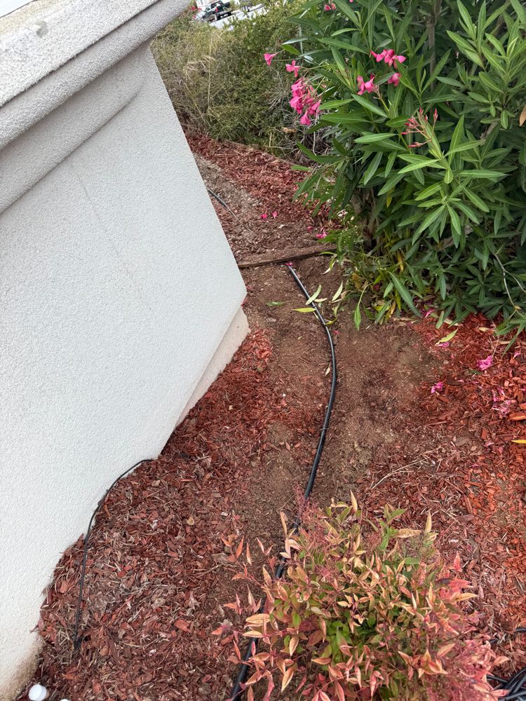 All Photos for CBA Landscaping in Hayward, CA