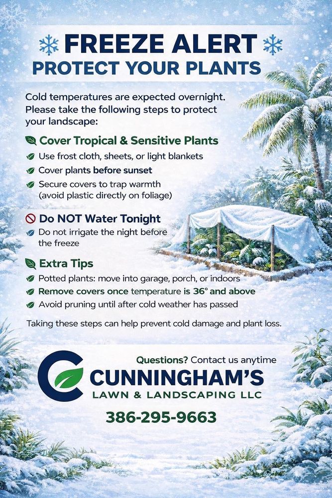 All Photos for Cunningham's Lawn & Landscaping LLC in Daytona Beach, Florida