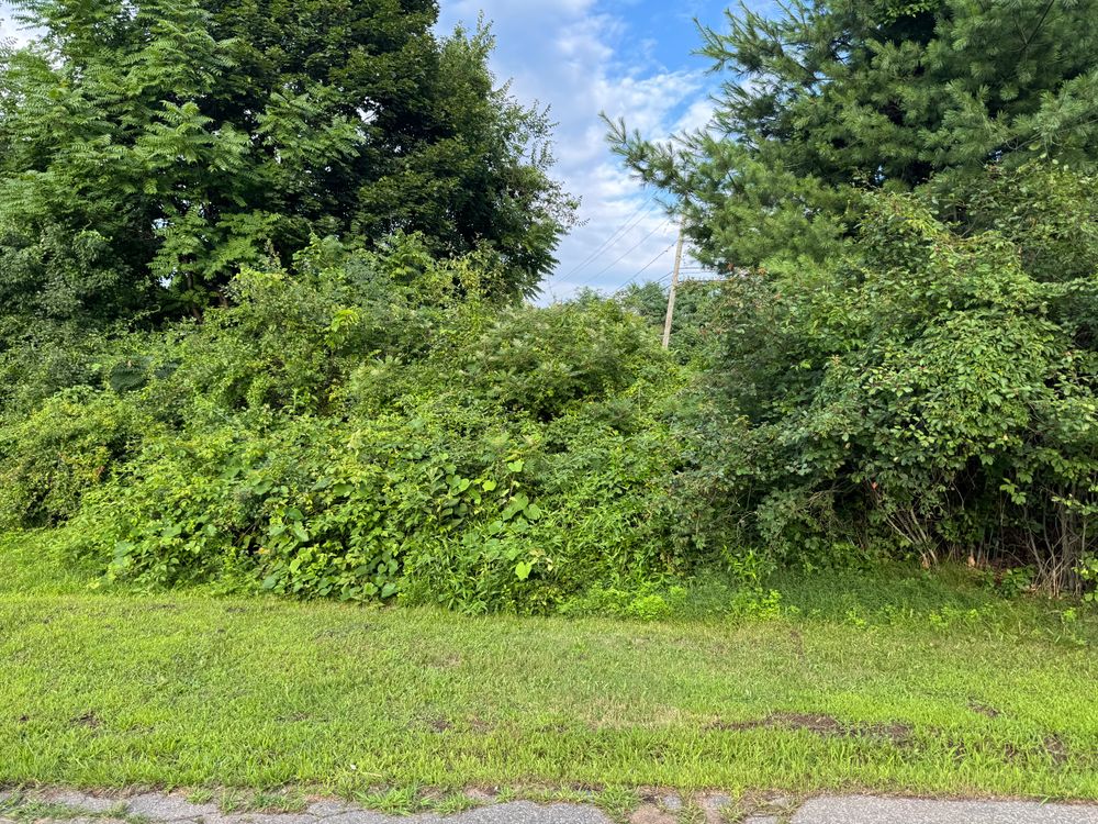 All Photos for Adams Landscaping in Springfield, MA