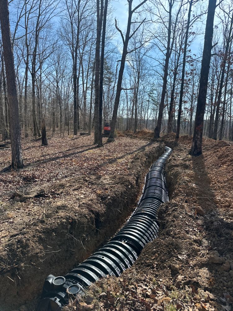 All Photos for Green Land Management in Mount Pleasant, TN