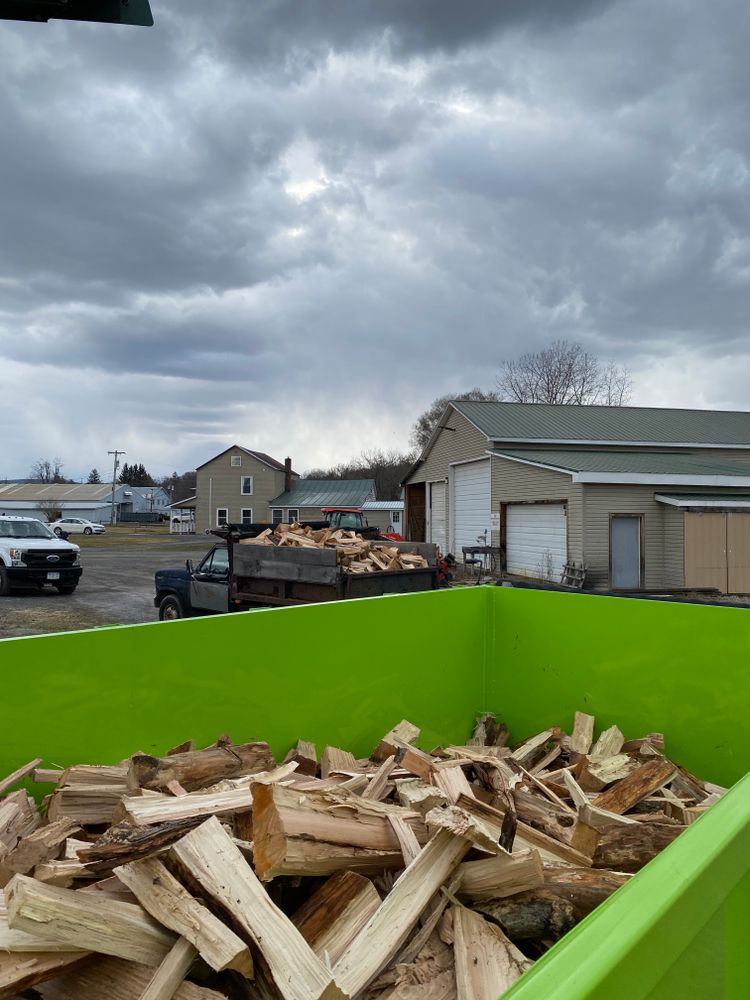 All Photos for Sterlings Tree Removal in Cobleskill, New York