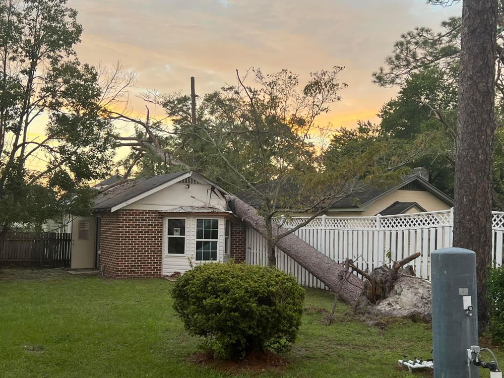 Our demolition service helps homeowners safely remove structures and hardscapes, making way for new landscaping projects. Trust our experienced team to efficiently clear your property without causing damage or disruption. for Southeast Aquatic Land Services LLC  in Waycross, GA