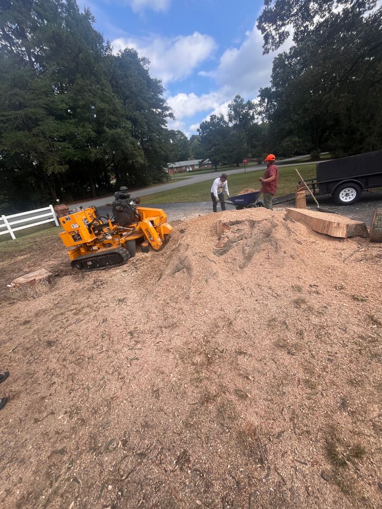 All Photos for Ricky's Tree Service & Property Care in Orange, VA