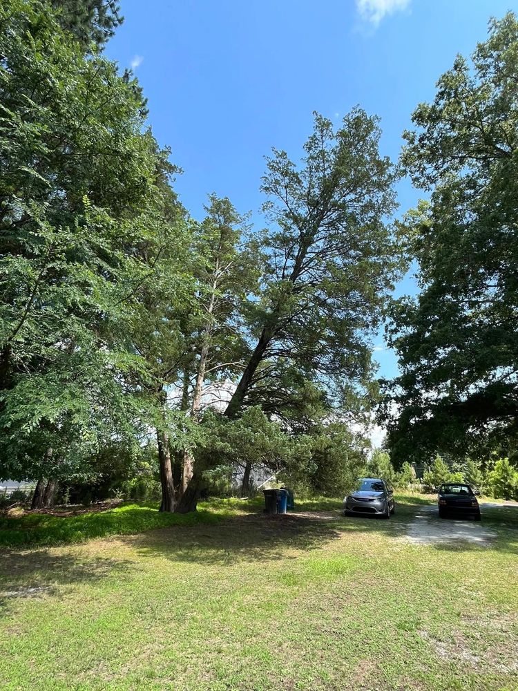 Our Storm Cleanouts service efficiently removes debris and damaged items after a storm, restoring your property to pristine condition. Trust our expert team for swift, reliable cleanouts that ensure peace of mind. for Junk B Gone in Rougemont, NC