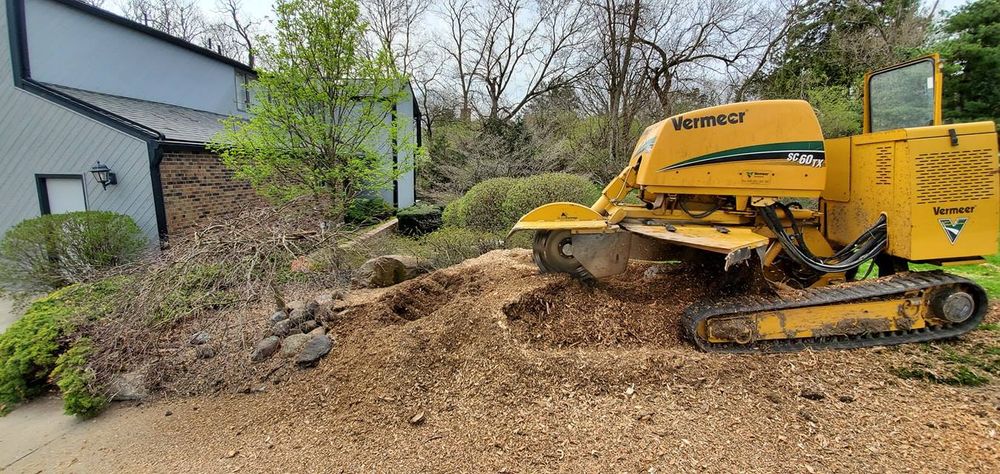 Stump Grinding & Removal for F & F Tree Service in Beavercreek, OH