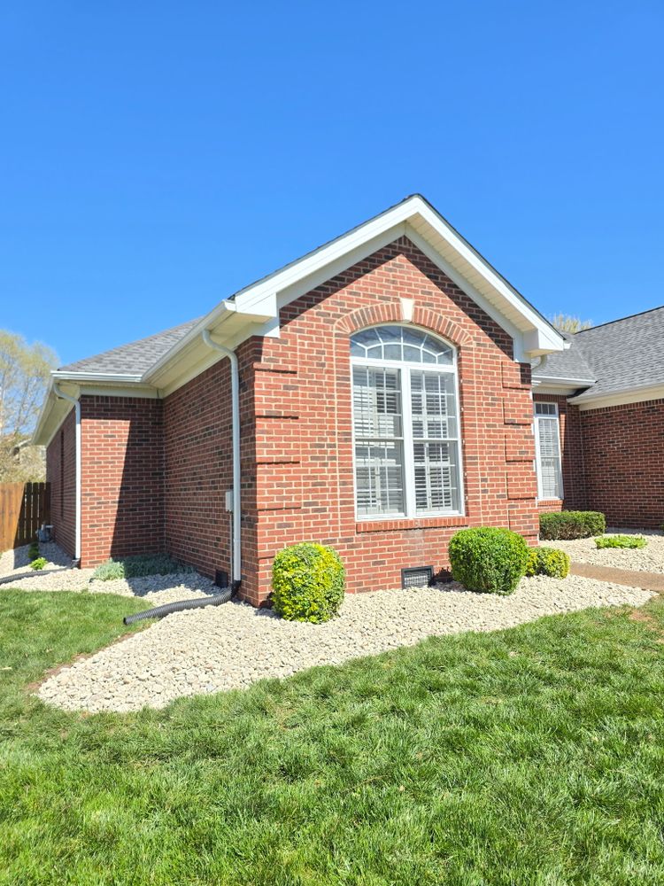 All Photos for Optimum Tree Service And Landscaping in Bowling Green, KY