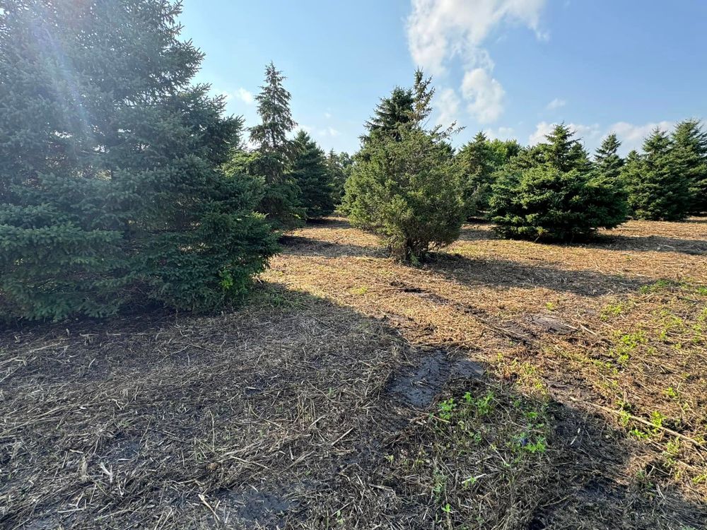 Land Clearing for RTK Co. Land Management in Raymond, MN