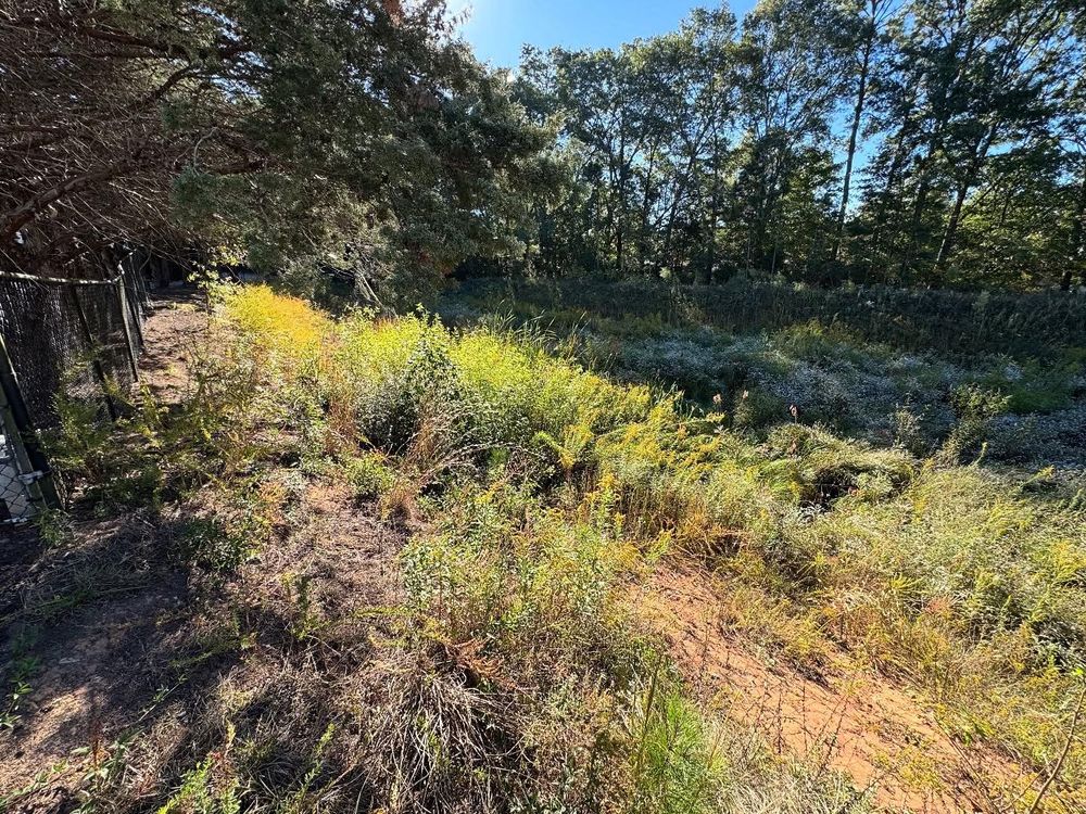 Brush Cutting and Removal for Fayette Property Solutions in Fayetteville, GA