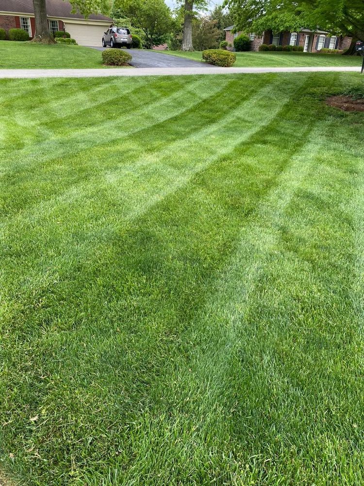 Our Lawn Aeration service enhances grass health by alleviating soil compaction, improving water and nutrient absorption, and promoting stronger root growth for a lush, vibrant lawn all year round. for JKL Lawn Service in Frankfort, KY