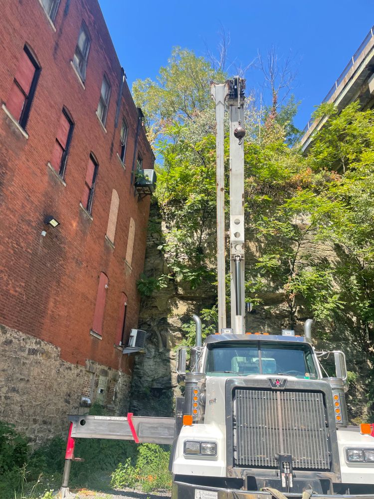 All Photos for TLC Professional Tree Service in Bedford, TX