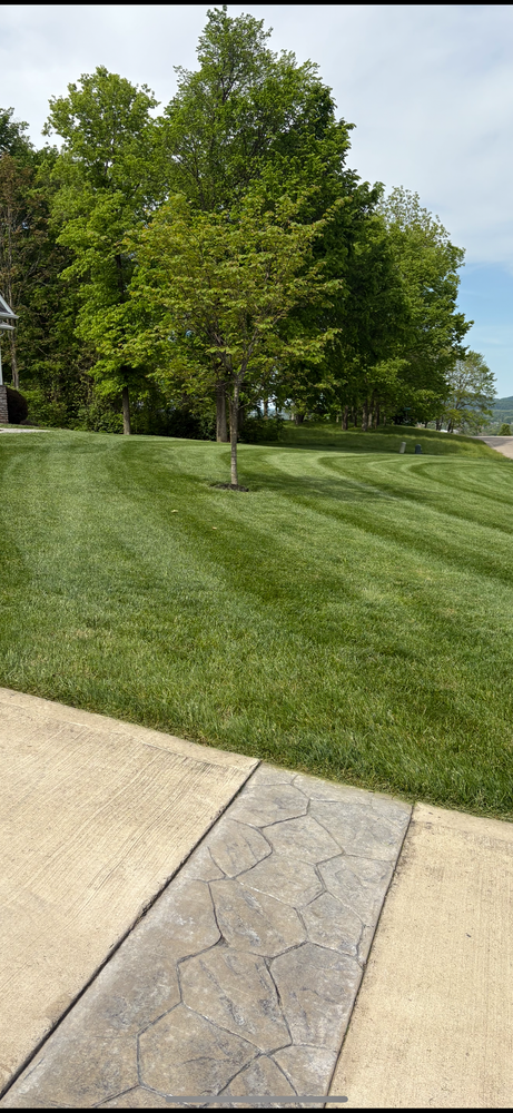 All Photos for Red Beard Lawn Care in Chillicothe, OH