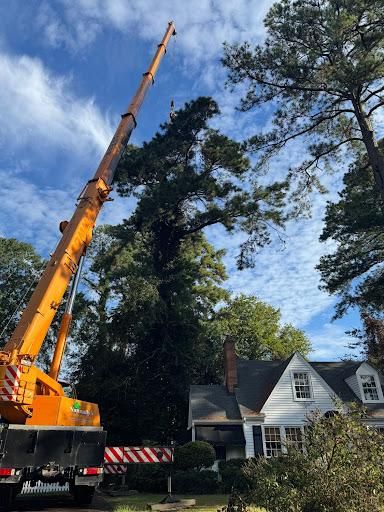 All Photos for Rawls Tree Care in Richmond, VA