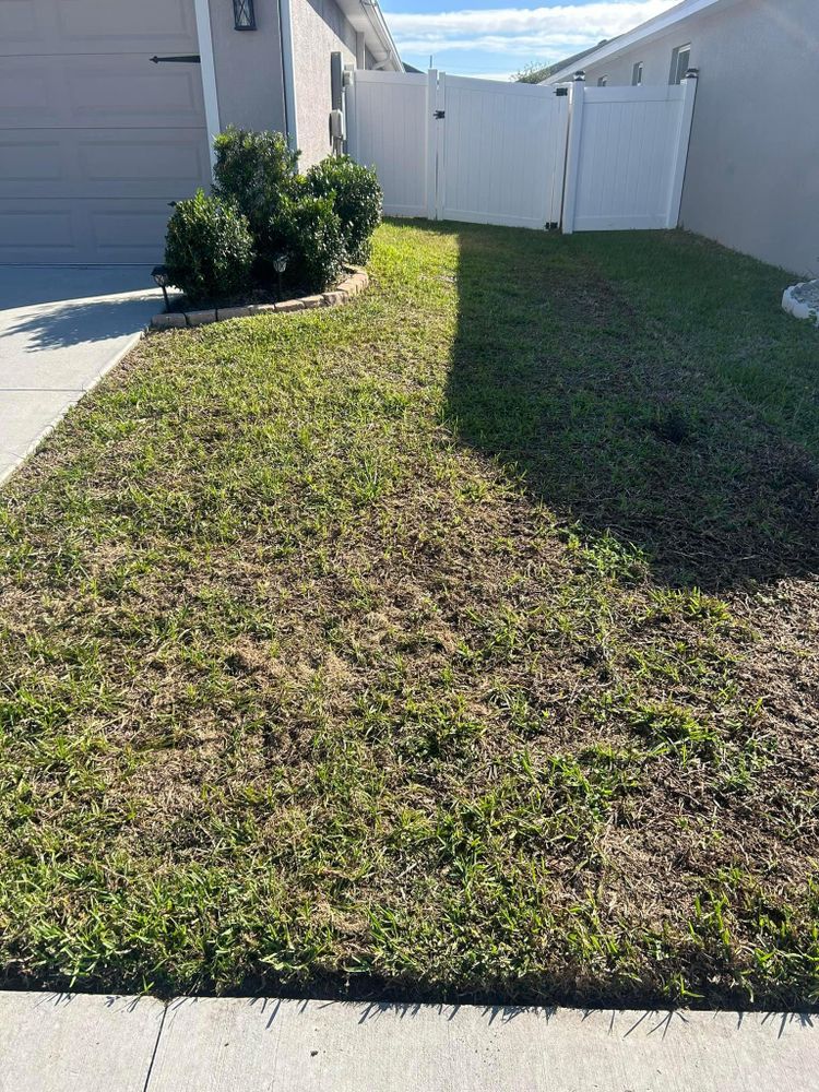 All Photos for Estrada All Pro Lawn Service in Auburndale, Florida