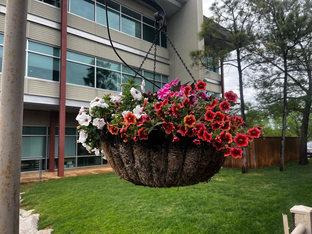 Seasonal Color for Urban Lawn & Landscape in Oklahoma City, OK